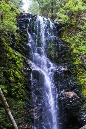 A waterfall deep in the Redwood forests of California.の写真素材