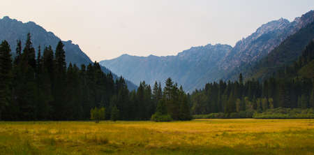 Mountains surrounding a grassy meadow.の写真素材