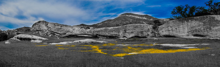 Yellow flowers in a meadow surrounded by rock cliffs.の写真素材