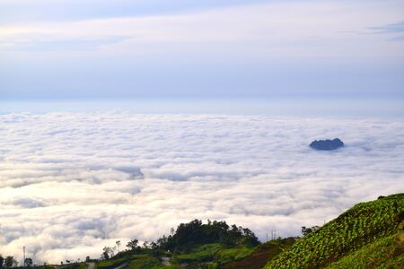Mist