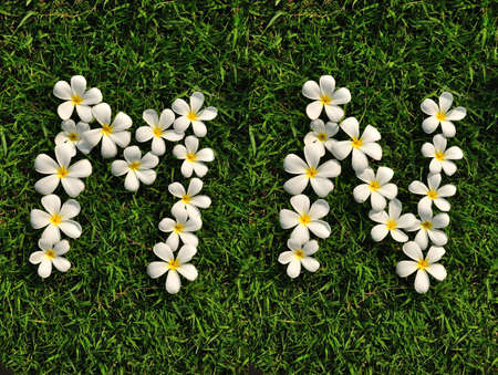 Text white tropical flowers on green grass M, Nの写真素材
