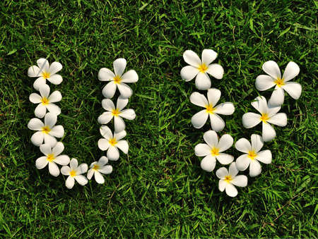 Text white tropical flowers on green grass U, Vの写真素材