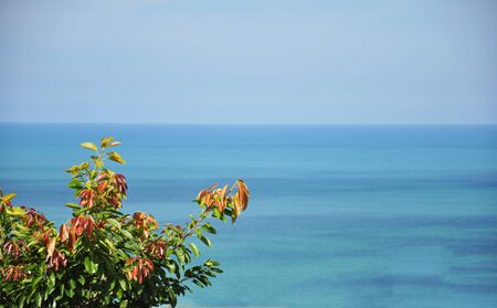  Red leaf seasideの写真素材