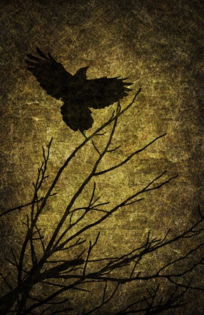 Young woman lost in spooky dirty corridorの写真素材