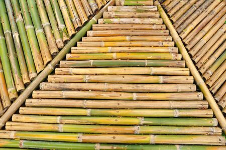 bamboo backgroundの写真素材
