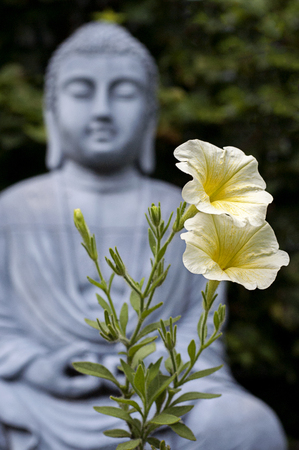 Flowers with Buddha figure in the backgroundの写真素材