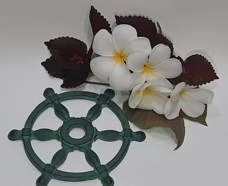 frangipani flowers and steering wheel on a white background.の写真素材