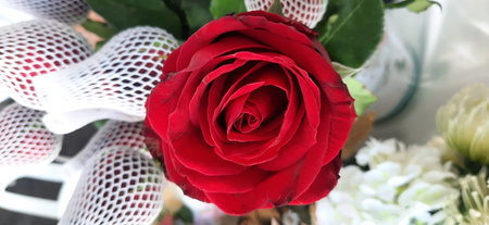 Red rose in a vase at a flower shop, stock photoの写真素材