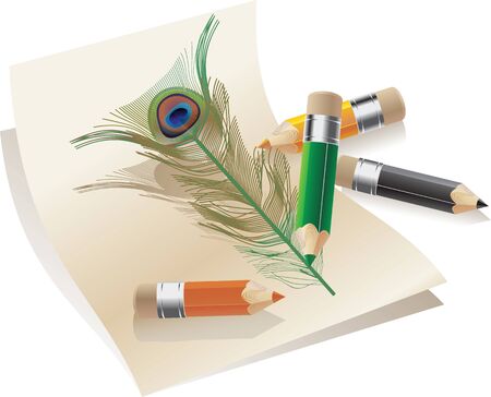 pencils and feather peacockのイラスト素材