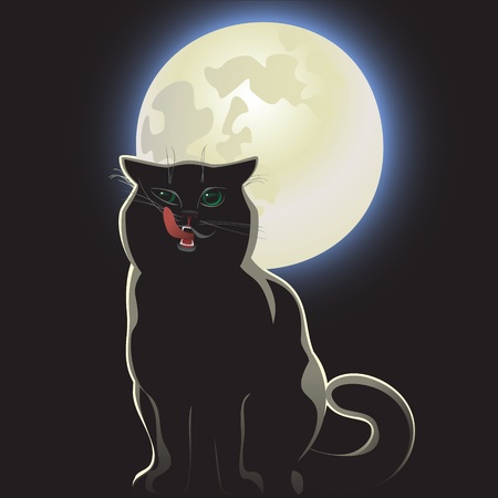 nocturnal black cat on black backgroundのイラスト素材