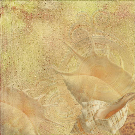 background sand and shall seaの写真素材