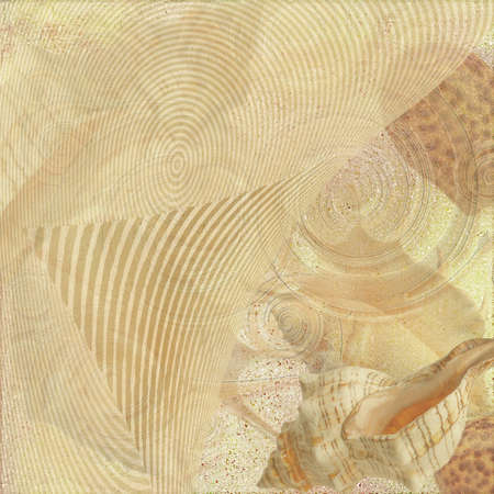 background sea sand and shellの写真素材