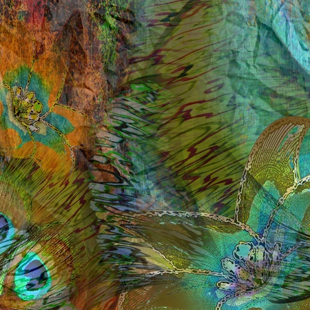 exotic green  background flowers and peacock featherの写真素材