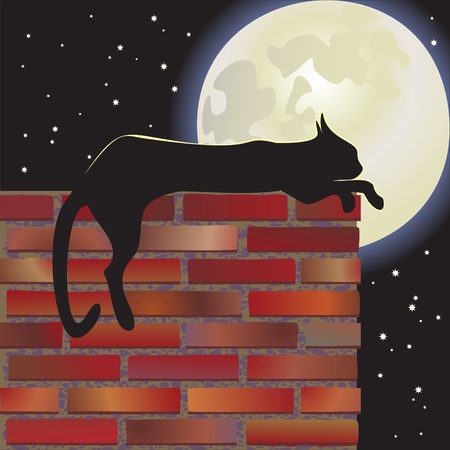 nocturnal cat  moonのイラスト素材