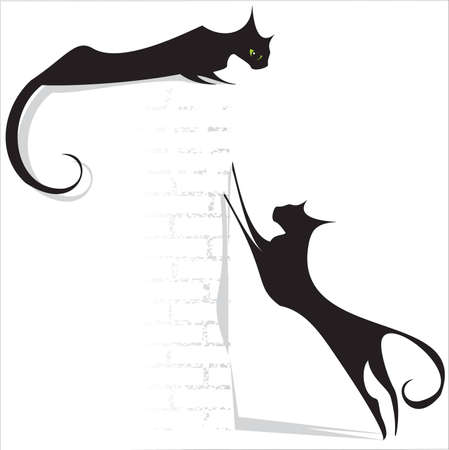 black cats on white backgroundのイラスト素材