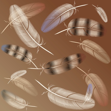 feather bird on dark backgroundのイラスト素材