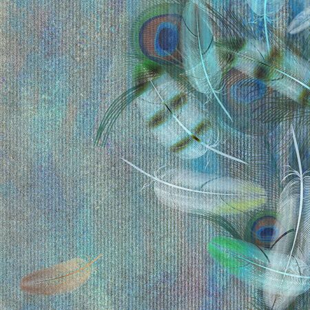feather bird on dark backgroundの写真素材