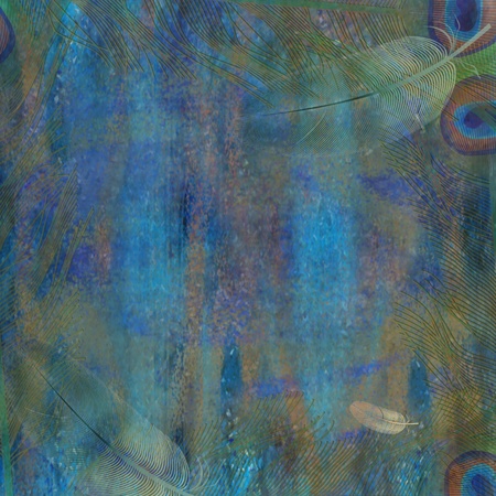 feather bird on dark backgroundの写真素材