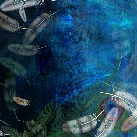 feather bird on dark backgroundの写真素材