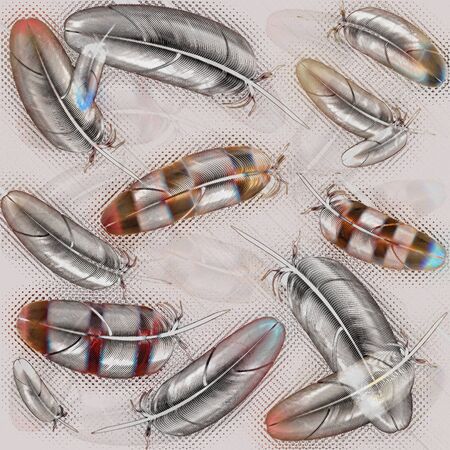 feather bird  backgroundの写真素材