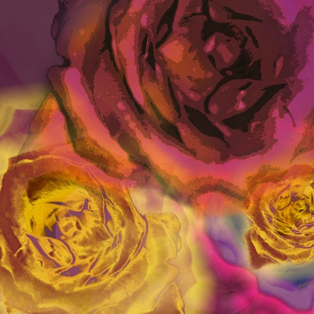 background dark roses, blurred,  bandsの写真素材