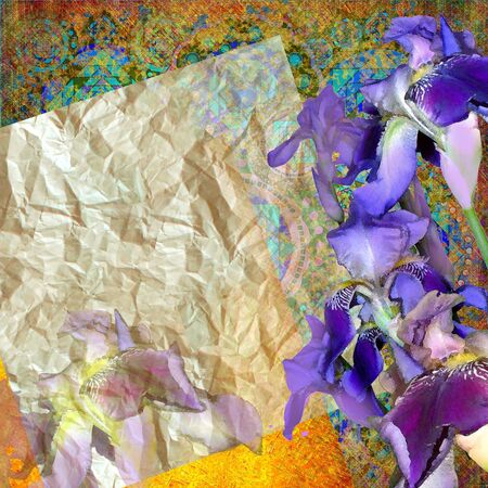 floral design iris, orange backgroundの写真素材