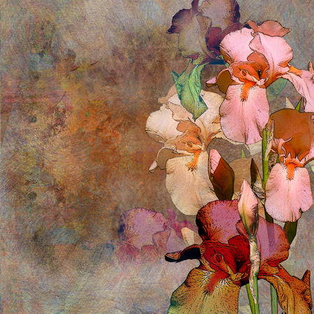 floral design, pink irisの写真素材