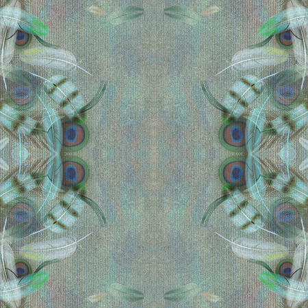 feather bird on striped backgroundの写真素材