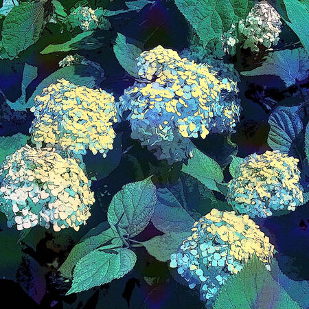 abstract mottled floral surface