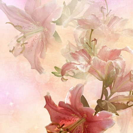 floral design vintage backgroundの写真素材