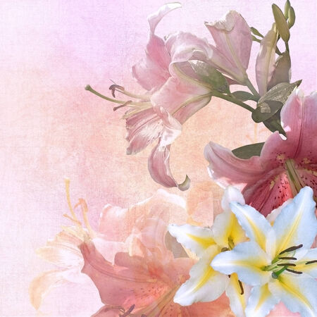 floral design vintage backgroundの写真素材