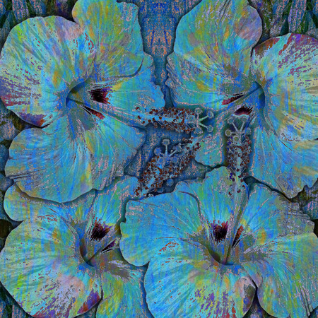 tropic flowers motley background, hibiscusの写真素材