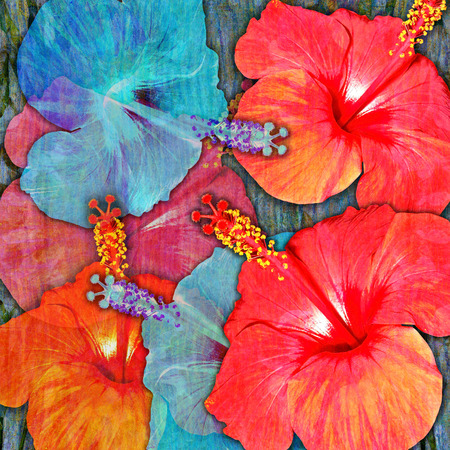tropic flowers motley background, hibiscusの写真素材