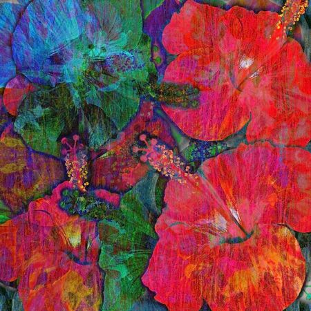 tropic flowers motley background, hibiscusの写真素材