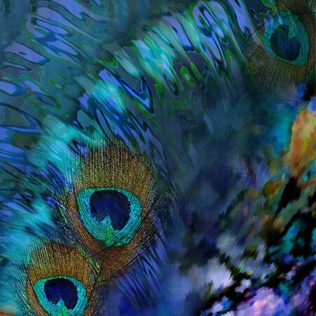 decoration abstrac  tropic tbackground, motleyの写真素材