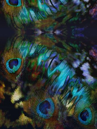 decoration abstract exotic frame with a peacock feathersの写真素材