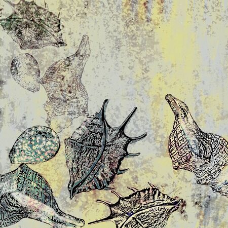 abstract background monochrome withe a  stylized sea shellsの写真素材