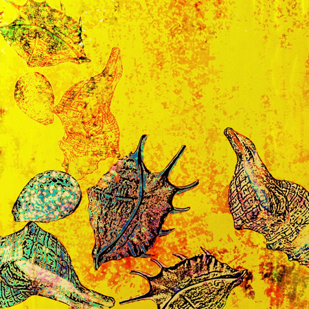 background motley, stylized sea shells, summer motifの写真素材