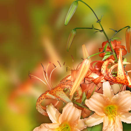 bouquet orange lilyes floral designの写真素材