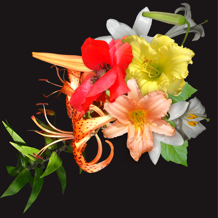 floral bouquet on black backgroundの写真素材