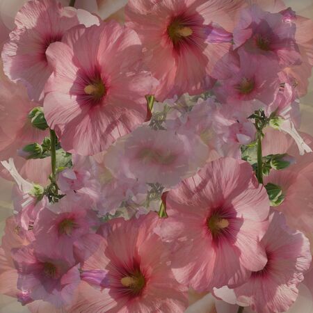 bouquet pink florals on grey backgroundの写真素材