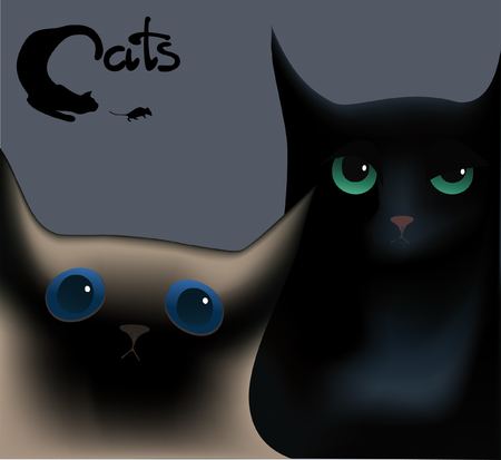 head Siamese and a black cat on a gray backgroundのイラスト素材