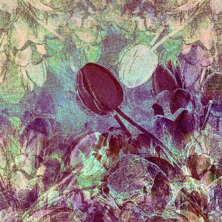 abstract floral shabby pink  surfaceの写真素材