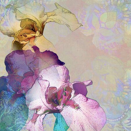 colored iris on patterned pastel backgroundの写真素材