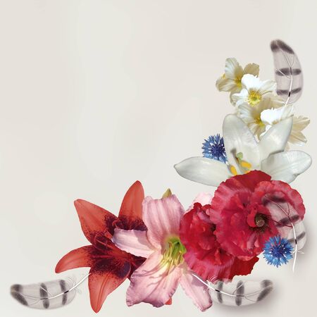 floral pattern on white  backgroundの写真素材