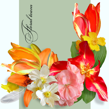summer bouquet on green backgroundの写真素材