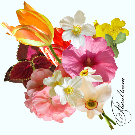 summer bouquet tulip anemone daffodilの写真素材
