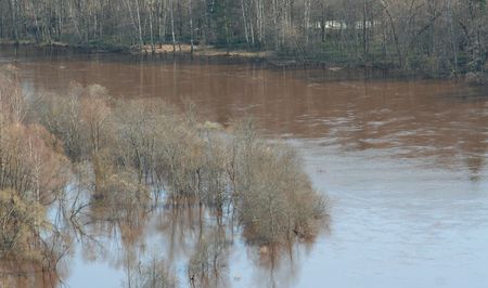 overflow meadow in spring with treesの写真素材