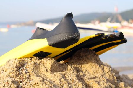yellow and black colored flipper over the sandsの写真素材