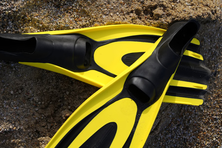 yellow and black colored flipper over the sandsの写真素材